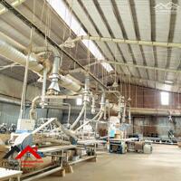 Cho thuê xưởng 4.800m² tại Thuận An, Bình Dương – Giá 290 triệu/tháng. Liên hệ: Chothuexuongmiennam.com - 0366632092