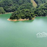 Diện Tích Trong Sổ 7300 M2, Ont 400 M2, Còn Lại Là Đất Vườn, Tiền Phong, Đà Bắc, Hoà Bình