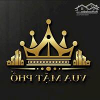 VUA MẶT PHỐ - Bán nhà Phố HÀNG LƯỢC  giá 59 tỷ, 77,8m x4 Tầng, MT 4,3m