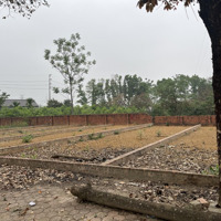 Chính Chủ Gửi Bán Gấp Lô Đất 100M2 Tái Định Cư Nông Lâm Phú Cát
