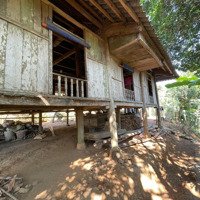 Cần Bán 2000M2 View Hồ Hoà Bình Tại Xã Tiền Phong - Đà Bắc - Hoà Bình