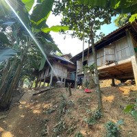 Cần Bán 2000M2 View Hồ Hoà Bình Tại Xã Tiền Phong - Đà Bắc - Hoà Bình