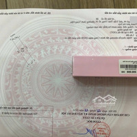 Bán Đất Ngõ 44 Trần Thái Tông, 220 Triệu/M2, 134 M2, Giá Cực Chất, Chính Chủ, Cầu Giấy, Hà Nội