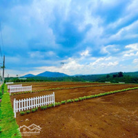 Bán Gấp 2 Lô Đất Liền Kề Tại Di Linh - Gần Quốc Lộ 20, Dân Cư Ở Kín, Giá Hốt Liền Tay