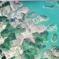 Cơ Hội Đầu Tư 33 Ha Đất Ôm Hồ Đăk Lô, Cát Tiên, Lâm Đồng Khu Du Lịch Sinh Thái Tiềm Năng, Đẳng Cấp