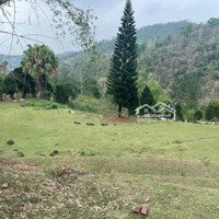 Bán Gấp Vị Trí Hoa Hậu Của Hoa Hậu Đẹp Nhất Khu Thác Thăng Thiên 4913M2 Có Suối Chạy Quanh Năm