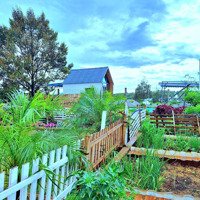 Đón Đầu Cao Tốc - Sở Hữu Đất Nghỉ Dưỡng Di Linh, Chỉ Từ 286 Triệu - Pháp Lý Sổ Riêng