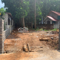 3,2Tỷ (Bao Sang Tên) Cho Lô Đất Trồng Cây Lâu Năm Tại Minh Quang, Ba Vì, Hà Nội Cách Tl414 Chỉ 300M