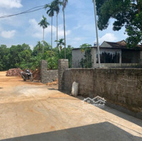 3,2Tỷ (Bao Sang Tên) Cho Lô Đất Trồng Cây Lâu Năm Tại Minh Quang, Ba Vì, Hà Nội Cách Tl414 Chỉ 300M