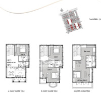 Bán Nhanh Biệt Thự Song Lập Chà Là Giá Bán 19 Tỷ, 127.5M2 Tại Vinhomes Ocean Park 2.