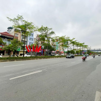 Phân Lô, Vỉa Hè, 4 Ô Tô Tránh, Kd, Mặt Phố Giang Biên,Diện Tích140 M, 3 T,Mặt Tiền5.5 M, Giá Bán 17 Tỷ