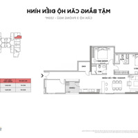 Trực Tiếp Quỹ Căn Từ Cđt, Chuyển Nhượng Full Diện Tích, Giá Tốt Tại Brg Diamond Lê Văn Lương