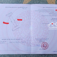 Đón Sóng Kcn Tân Trào, Kiến Thuỵ Siêu Phẩm 1 Lô Duy Nhất Tại Mặt Ngoài Đấu Giá, Tân Trào, Kiến Thuỵ