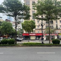 Cho Thuê Nhà Hàng, Shoroom, Mặt Phố Giảng Võ 350M2 Sử Dụng Mặt Tiền 8M, Vị Trí Kinh Doanh Sầm Uất