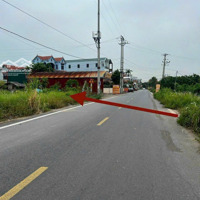 Bán 85M2 Đất Đấu Giá Phượng Trì Trình Làng, Cơ Hội Cho Các Nhà Đầu Tư