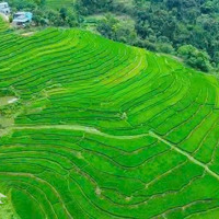 Hàng Hiếm View Ôm Trọn Cánh Đồng Mặt Tiền Rộng,Diện Tích993M2 Tại Kim Bôi Hòa Bình Giá Chỉ 1 Tỷ