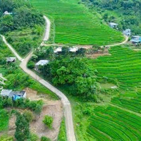 Hàng Hiếm View Ôm Trọn Cánh Đồng Mặt Tiền Rộng,Diện Tích993M2 Tại Kim Bôi Hòa Bình Giá Chỉ 1 Tỷ