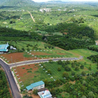 Cần Bán Lô Đất Di Linh 839 Triệu Gần Cao Tốc Đất Đẹp, Sổ Hồng Riêng