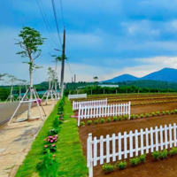 Cần Bán Lô Đất Di Linh 839 Triệu Gần Cao Tốc Đất Đẹp, Sổ Hồng Riêng