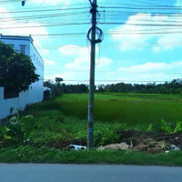 120M2 Mặt Tiền Ql54, Bình Mình/Tiền Giang,Gần Các Tiện Ích Trường Học,Chợ.qua Cần Thơ 10P,Shr, 700 Triệu