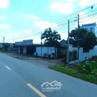 120M2 Mặt Tiền Ql54, Bình Mình/Tiền Giang,Gần Các Tiện Ích Trường Học,Chợ.qua Cần Thơ 10P,Shr, 700 Triệu