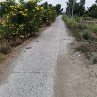 Bán Đất Tại Ấp 3, Tân Bửu, Bến Lức, Giá Siêu Hời 770 Triệu/ 200M2. Bao Giấy, Bao Check Đất