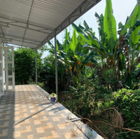 Bán Đất 2 Mặt Tiền Đường 1 Mặt Tiền View Hồ Đội 43, Diện Tích 1695M2 Giá Đầu Tư Rẻ Nhất Thị Trường