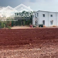Bán Đất Tại Tđ 561, Tbđ 15, Tại Ấp Sông Xoài 2, Xã Sông Xoài, Thị Xã Phú Mỹ, Bà Rịa - Vũng Tàu