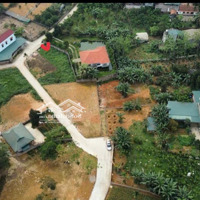 Bán Đất Tại Đường Yên Bình, Thạch Thất, Hà Nội Diện Tích 200M2 Giá Bán 2.5 Tỷ