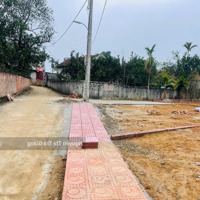 Cần Tiền Bán Gấp Mảnh 342M2 (Có 175,9M2 Thổ Cư) Ở Ngay Xã Lại Thượng Thạch Thất Chỉ Nhỉnh 10 Triệu/M2