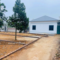 Cần Tiền Bán Gấp Mảnh 342M2 (Có 175,9M2 Thổ Cư) Ở Ngay Xã Lại Thượng Thạch Thất Chỉ Nhỉnh 10 Triệu/M2