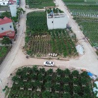 Lô Góc Đất Giá Hoàng Trạch, Mễ Sở, Văn Giang, Hưng Yên Gần Vành Đai 4