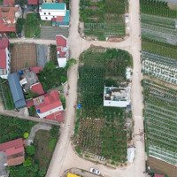 Lô Góc Đất Giá Hoàng Trạch, Mễ Sở, Văn Giang, Hưng Yên Gần Vành Đai 4