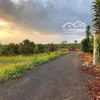 Cần Ra Nhanh Đất Thổ Cư Tại Lộc An, View Đẹp, Đường Nhựa 6M, Giá Siêu Tốt Chỉ 760 Triệu