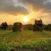 Cần Ra Nhanh Đất Thổ Cư Tại Lộc An, View Đẹp, Đường Nhựa 6M, Giá Siêu Tốt Chỉ 760 Triệu