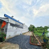 Bán Đất Tại Phường Tương Bình Hiệp,Thủ Dầu Một, Bd Giá Bán 1,88 Tỷ/ Diện Tích: 203 M2 Shr Chính Chủ,Gần Chợ Bv