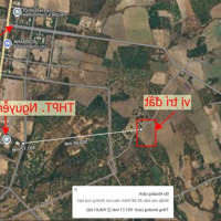 Chính Chủ Bán 2Ha Đất Phủ Full Hồng, Có 400M2 Thổ Cư Cách Trường Thpt Nguyễn Tất Thành 900M