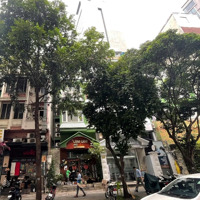 Quá Tốt! Bán Nhàmặt Tiềnchu Mạnh Trinh, Bến Nghé, Q1 (4 X 13M Nở Hậu 5M) Hđt 105 Triệu/Tháng, Chỉ 52 Tỷ
