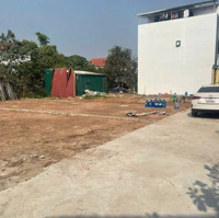 Bán Nhanh 103,3M Tại Cd Quán Trạch, Liên Nghĩa , Văn Giang