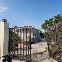 Bán Đất Tại Minh Tân, Kiến Thụy, Hải Phòng, 11 Triệu / M2, 495 M2