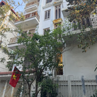Cần Bán Gấp Nhà Đốc Ngữ - Khu Biệt Thự, 120M, 5 Tầng, Lô Góc 3 Thoáng, Oto. Liên Hệ: 0968089718