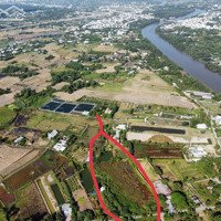 Bán Gấp 5000M2 Đất Trồng Cây Phủ Hồng Giá Đầu Tư 8 Triệu/M2