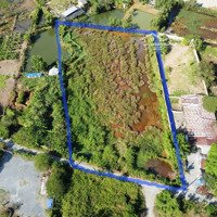 Bán Gấp 5000M2 Đất Trồng Cây Phủ Hồng Giá Đầu Tư 8 Triệu/M2
