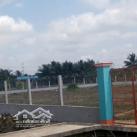 Bán 3.551 M2 Đất Chính Chủ, Đã Có 1.000M2 Thổ Cư, Xã Tam Hiệp, Huyện Châu Thành, Tỉnh Tiền Giang