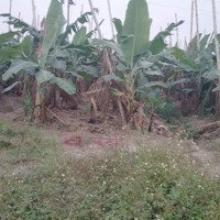 Đất Tđc An Hưng, Hồng Bàng, Hải Phòng