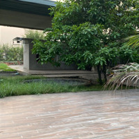 Bán Đất Trung Viết, 12 Tỷ, 300M2, Củ Chi, Hcm