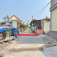 Cạnh Khu Đấu Giá Vườn Cam Cẩm Hoàn Thành Sơn Kiến Thuỵ