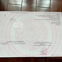 Đầu Tư Đón Đầu Dự Án Đảo Đubai Dọc Biển Và Cầu Chui Sông Hàn .