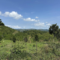 Kẹt Tiền Cần Bán Lô Đất Nghỉ Dưỡng View Núi Rất Đẹp, Đất 2Mt Ô Tô Vào Tận Đất, Giá Chỉ 330 Triệu/1000M2