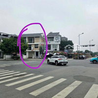 Bán Nghiêm Túc Bt Song Lập An Phú Shop Villa Kđt Dương Nội. Diện Tích 202,5M2. Đang Kinh Doanh Tốt